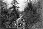 Wintergreen Falls